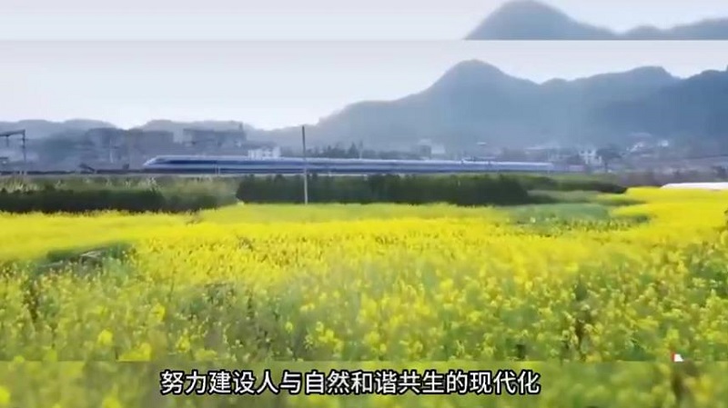 绷 # #Ⱦ 