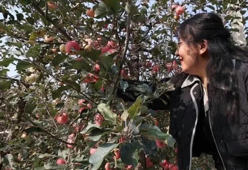 ϼ׽조ƻѧܡĻʽɹٰ