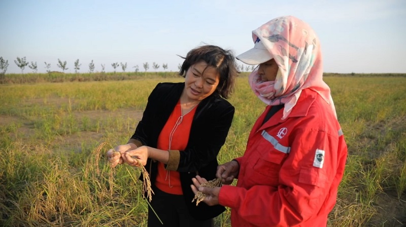 ³塿ɰ䡰 ǻũҵɫ..