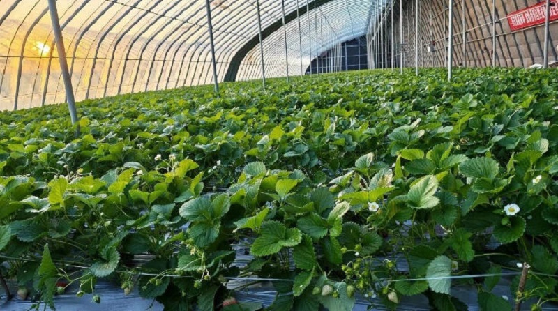 �����֡�ʮ���塱 �ܶ�����ʱ����ׯ�򣺿Ƽ����������� ��ҵ��..