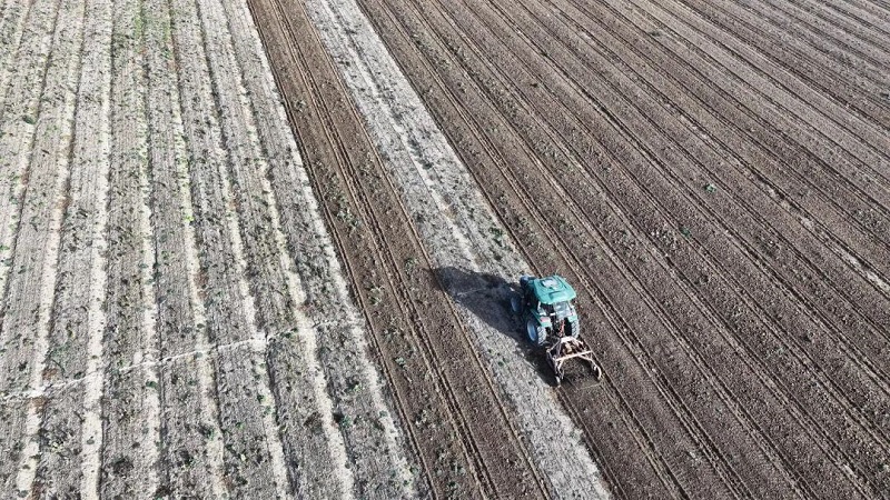 �����֡�ʮ���塱 �ܶ�����ʱ•һ�߱�����ҩ��Ʈ��..