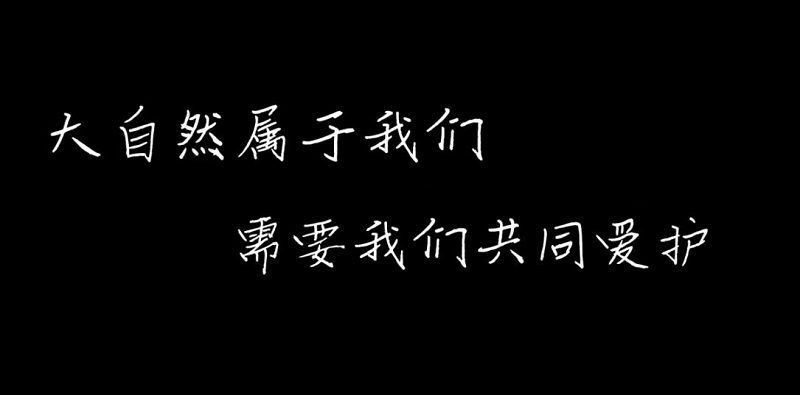 �����桶����Ȼ�������� ��Ҫ���ǹ�ͬ������