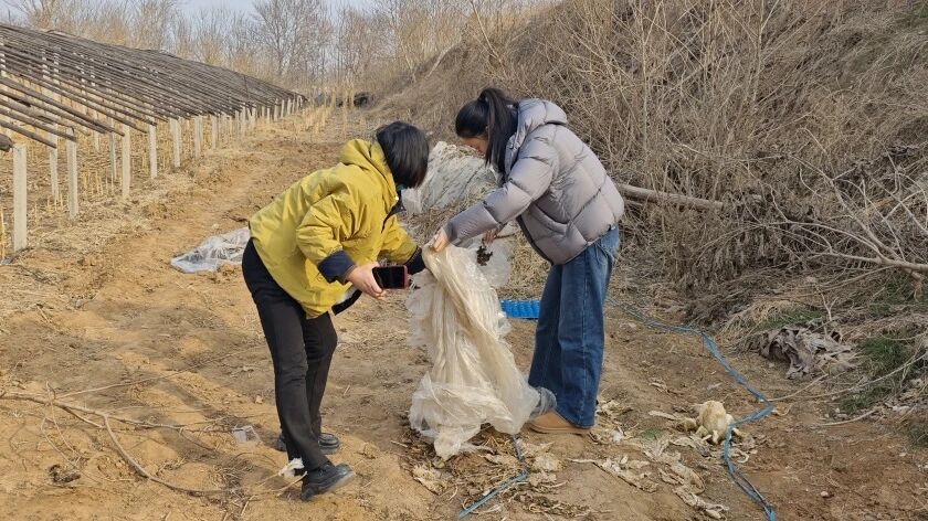 �������˰�ȫ����Ҽ��ֵ���ʵ��չ��·�����ⲿ�����ۺ�����