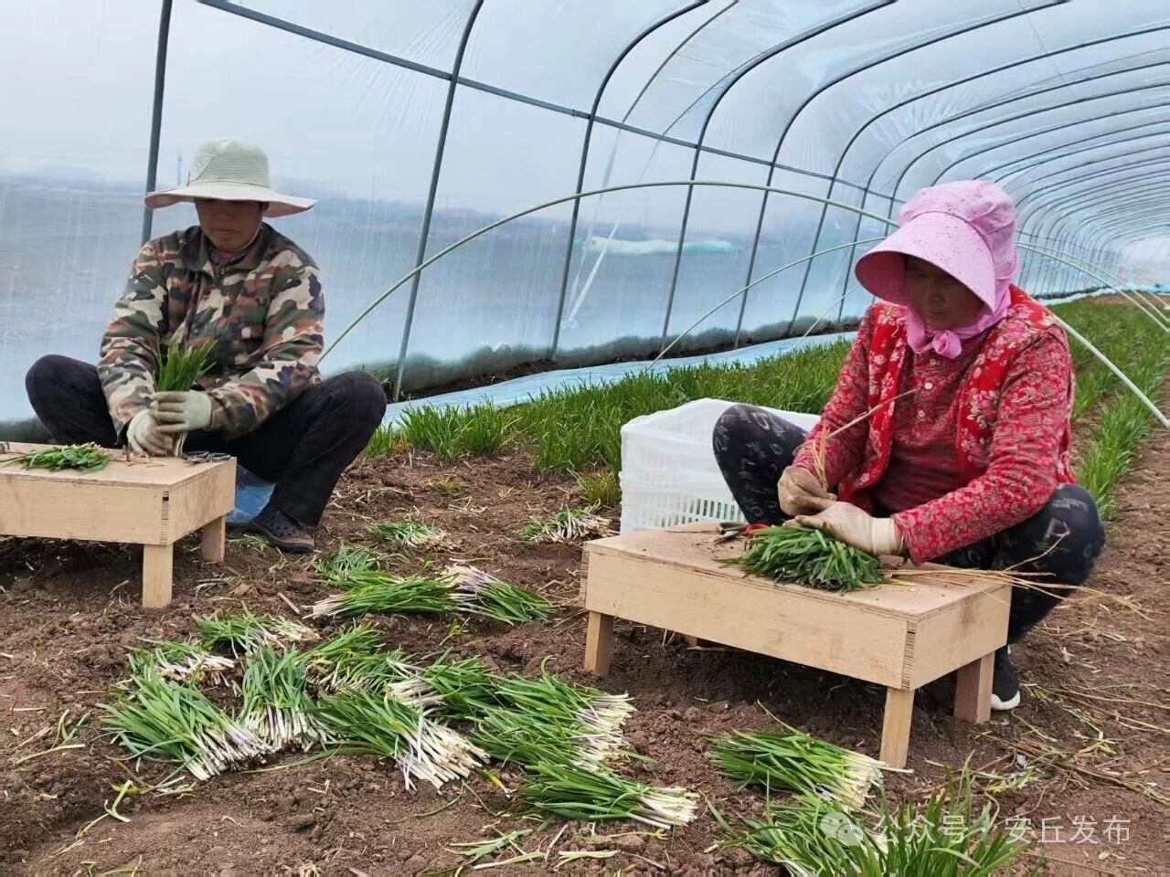 �׶�����Ʈ�𡰰���ζ����