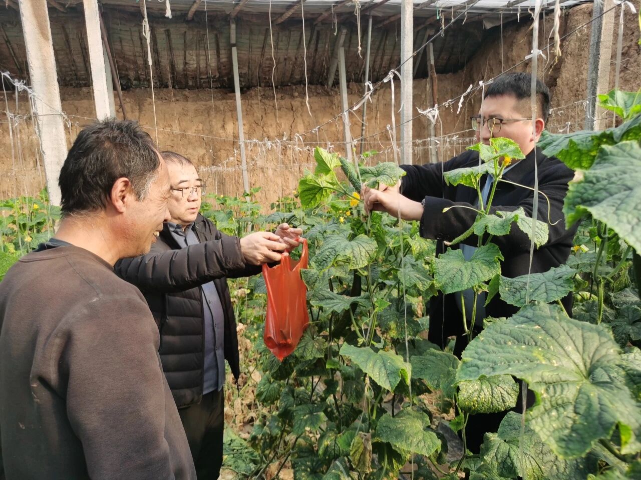 ��벢���ص��� ��׼��������ȫ������������ʵ��չũ��Ʒ������..