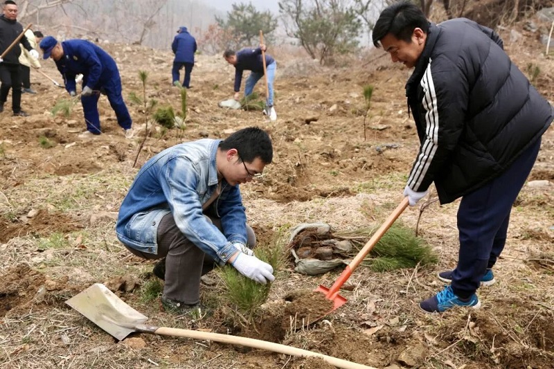 ǿ���� ʵ�ҵ� ������ | �������Ұ��ֲ������ʱ