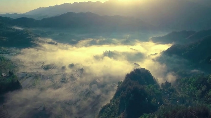 2025����������� �����紫���й���