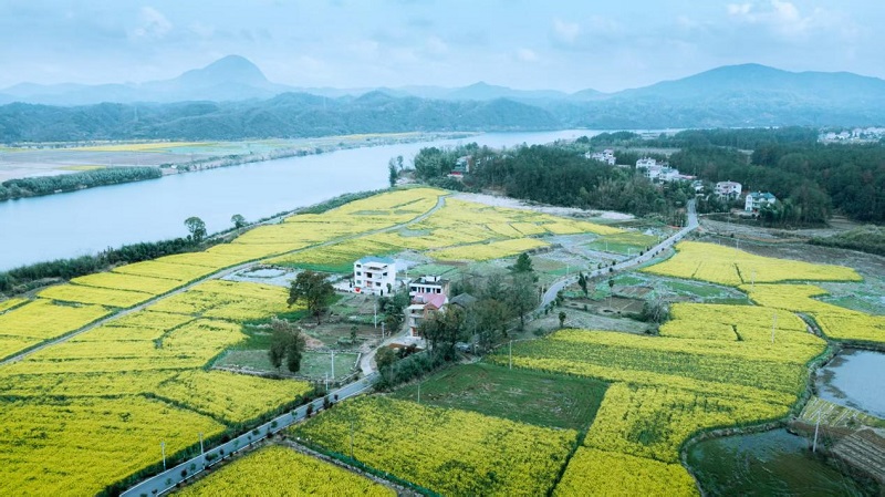 ̤���ͻ��羰��  ����Լ�ᵽ����