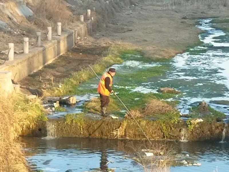 ���Ӿ�̲����ɽ�������ӵ����塱����������������