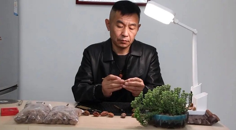 Ϋ����Ǻ˵񣺷���֮��̹Ž�